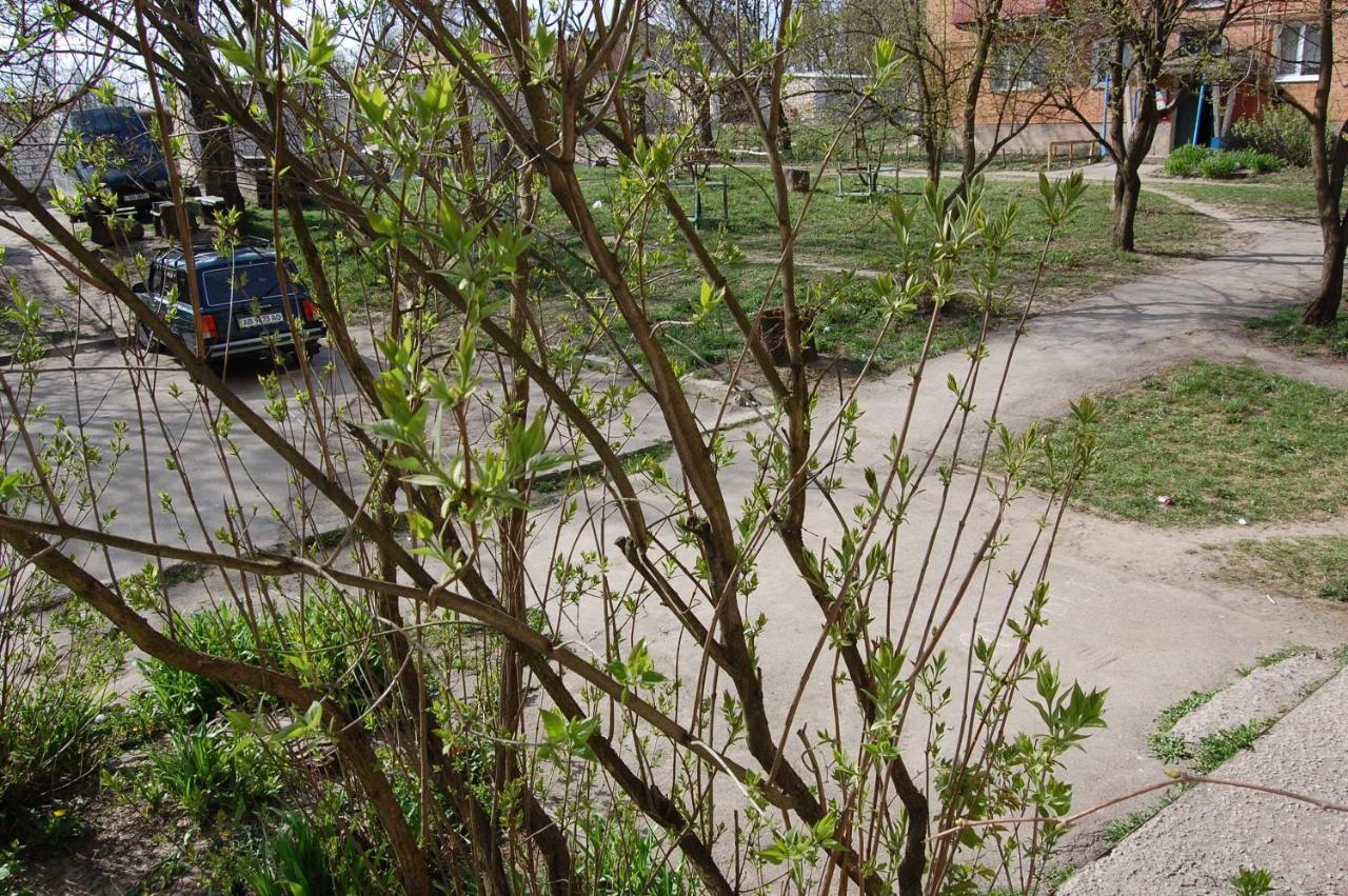 Аренда Квартиры Или Комнат В Квартире Zhmerynka Exterior foto